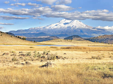 Autumn pasture and mt shasta