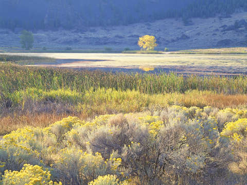 Banks lake autumn