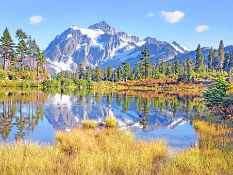 Mt shuksan autumn