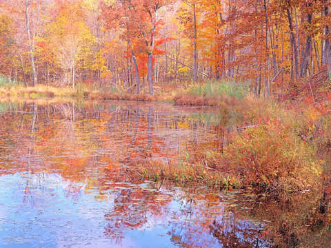 New england autumn pond