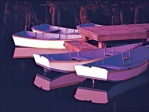 Rowboats in lagoon