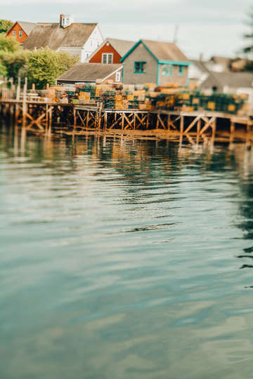 Waterfront portrait
