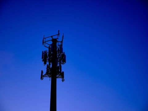 Radio tower swallows