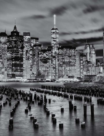 Birds of a feather nyc skyline