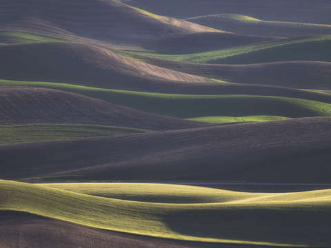 Waves of grain 2