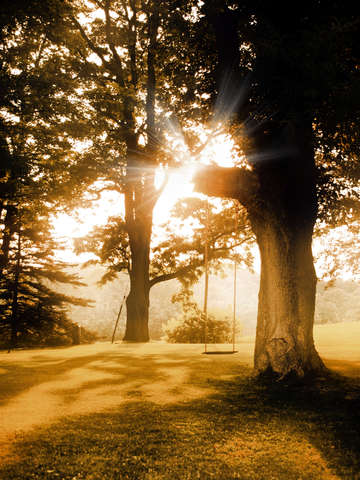 Swing Into The Past