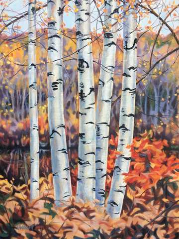 Riverside birches ii