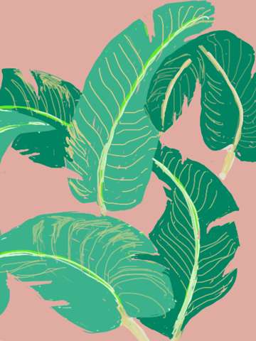 Hotel leaves