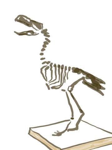 Terror bird