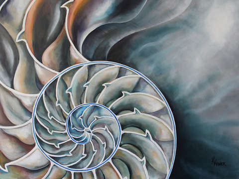 Nautilus 5