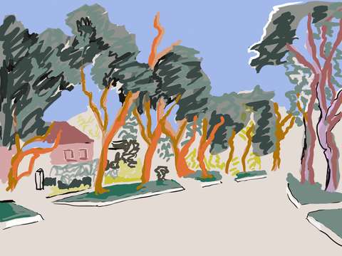 Maple drive