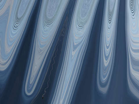 Blue whales 00131 a