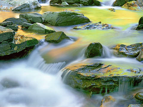 Autumn reflecting in bash bish falls