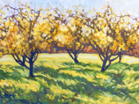Autumn orchard
