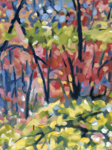 Backyard color