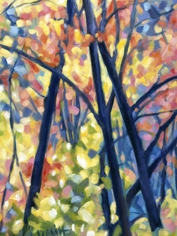 Backyard color ii