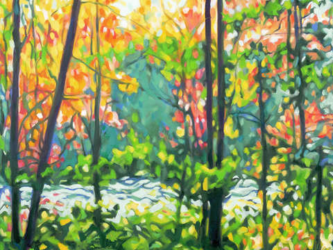 Woodland pond v