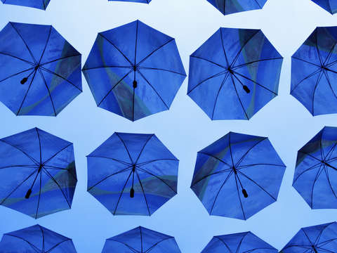 Umbrellas 1357