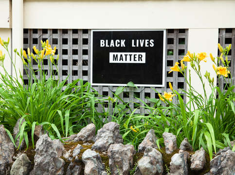 Black lives matter 2