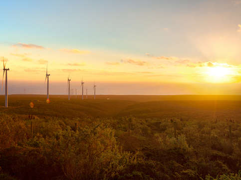 Windmills