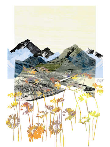 Daisy mountain collage