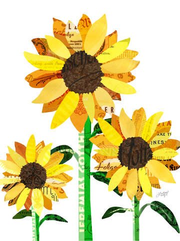 Sunflower collage