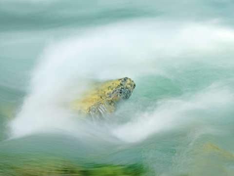 Sauk river 5