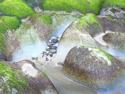 Tidal rocks design
