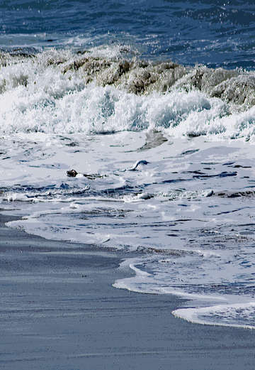 Beach 1 2