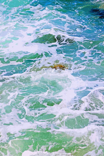 Ocean 26
