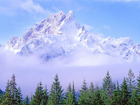 Whitehorse mt winter portrait