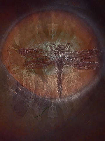 Eye on the Dragonfly