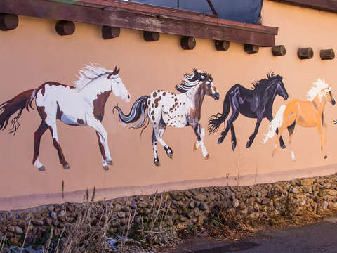 Americana 3 horses run wild