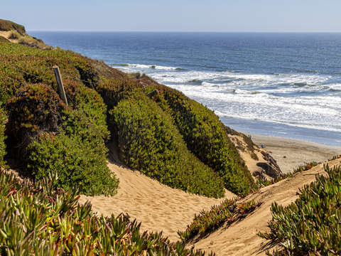 Funston beach