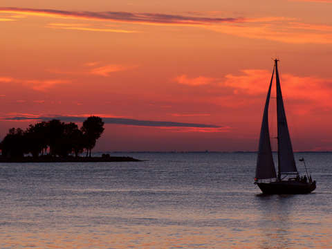 Sailing home