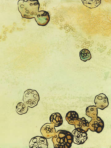 The study of water center