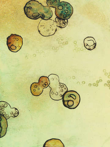 The study of water left