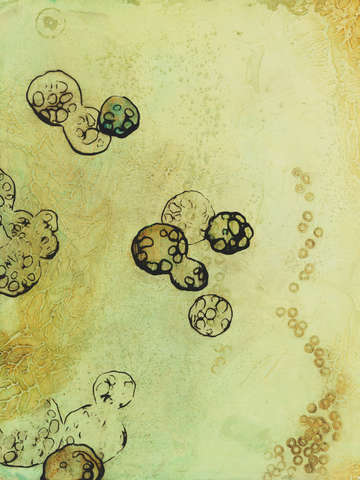 The study of water right
