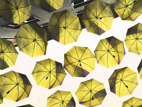 Umbrellas 1358a