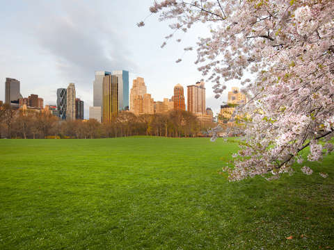 Spring on central park