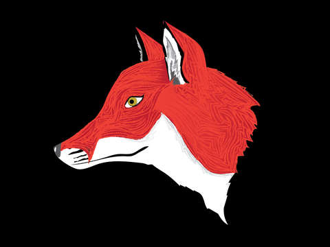 Fox profile