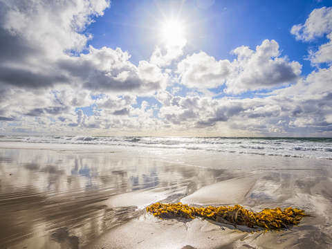 Bright winter day