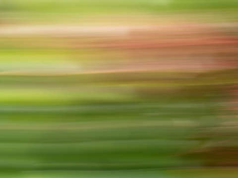 Waves of green