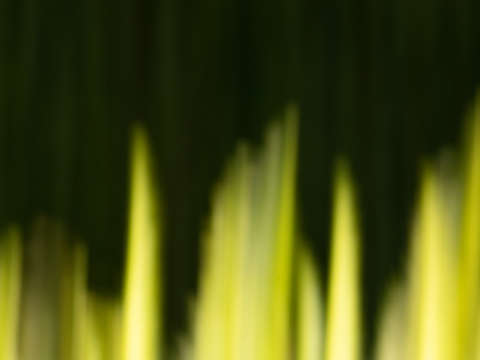 Hot green blaze