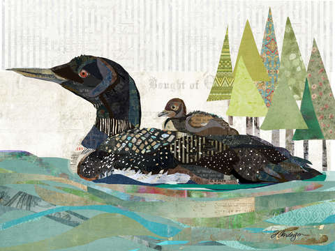 Avon lake loons
