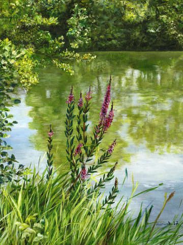 A walk along the river