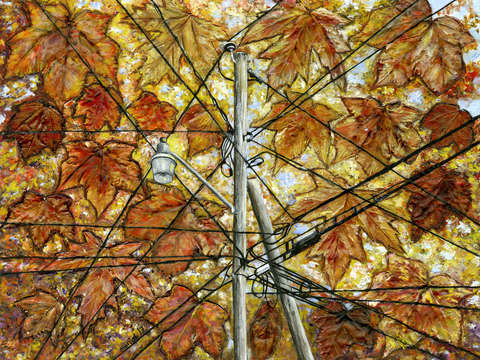 Fall in new england suburb