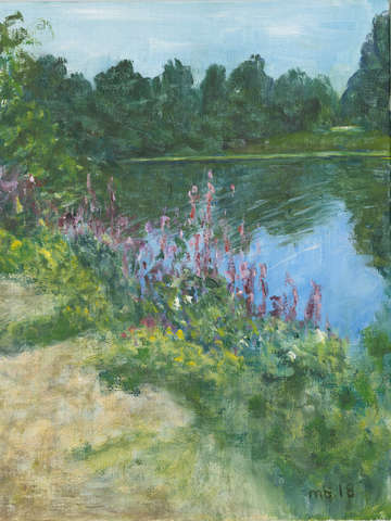 The river banks of le loir