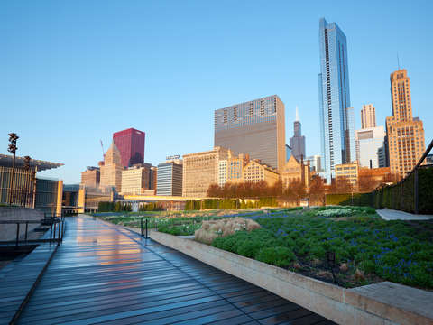 Cityscape of chicago 3