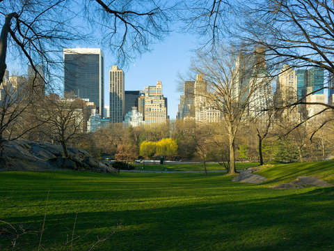 Manhattan from central park
